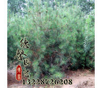 產(chǎn)品庫(kù)