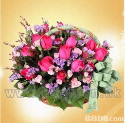 brighten pot plant centre鮮花 植物 園藝器材 花藝用品等產(chǎn)品