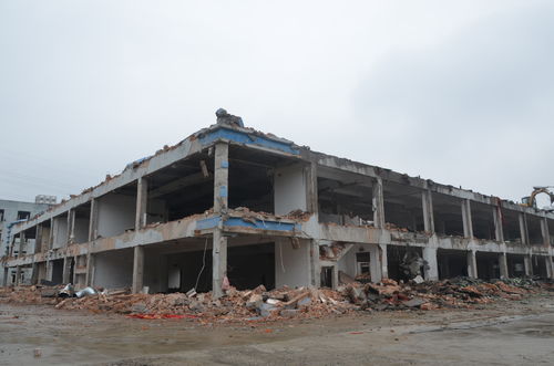 金記食品新廠原有建筑拆除 圖集