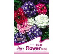 陽臺花草種子產(chǎn)品信息