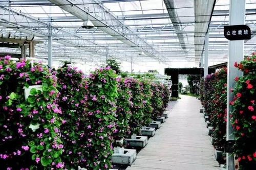 食品安全,植物工廠機(jī)械化 中藥健康,農(nóng)業(yè)休閑美如畫 藥最網(wǎng)