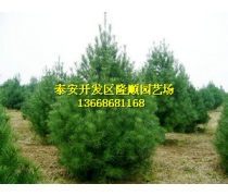 產(chǎn)品庫