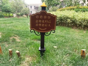 這哪里是采摘水果,這是搶 劫