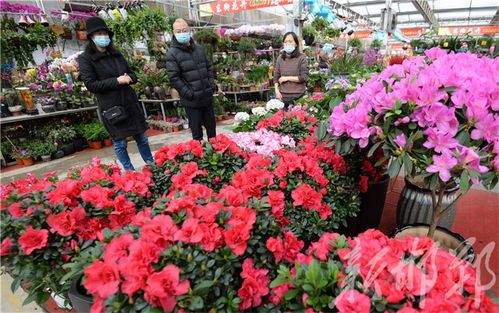 年霄花卉俏銷