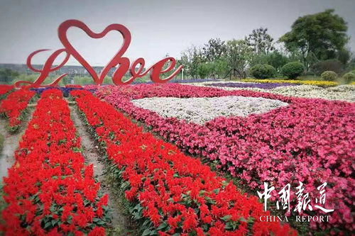 四川 樂至 首屆花卉生態(tài)旅游節(jié)即將開始