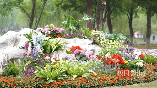 觀奇花,學(xué)園藝 上千種花卉怒放世界花園大會(huì)